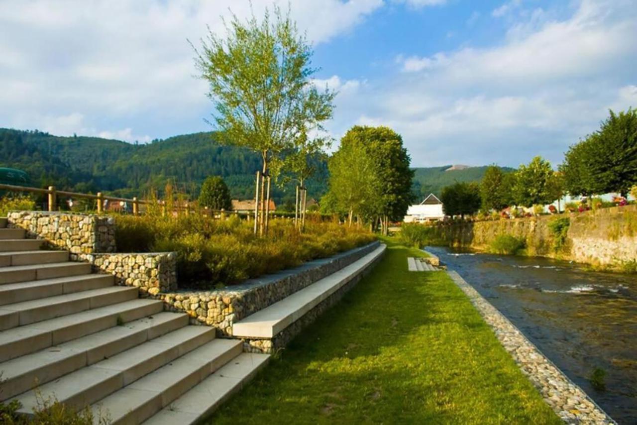 Maison Rurale En Bordure De Foret Schirmeck Ngoại thất bức ảnh