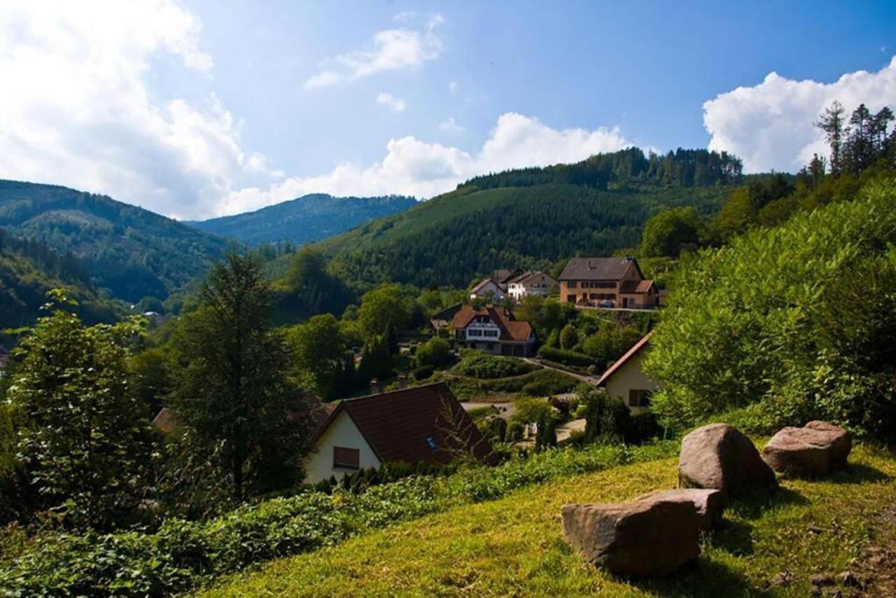 Maison Rurale En Bordure De Foret Schirmeck Ngoại thất bức ảnh